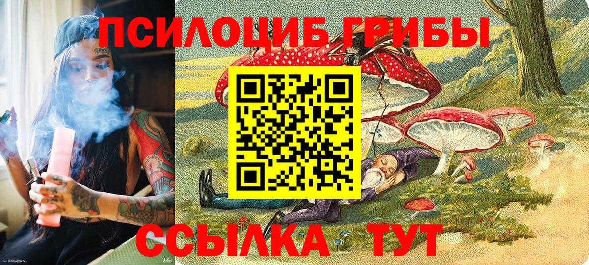 Галлюциногенные грибы прущие грибы Камень-на-Оби