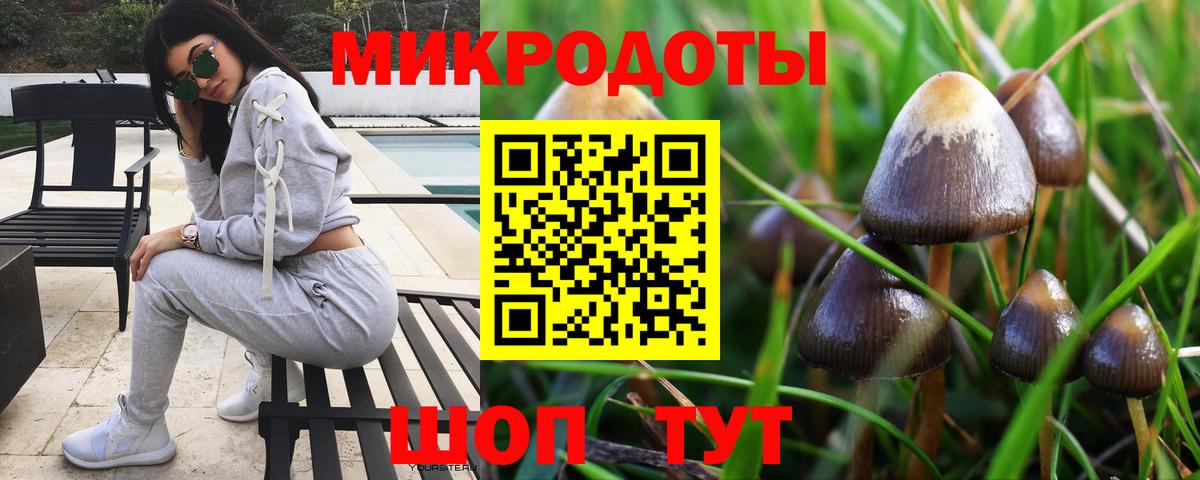 Галлюциногенные грибы Psilocybe  Вход с VPN  Камень-на-Оби 